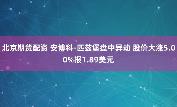 北京期货配资 安博科-匹兹堡盘中异动 股价大涨5.00%报1.89美元