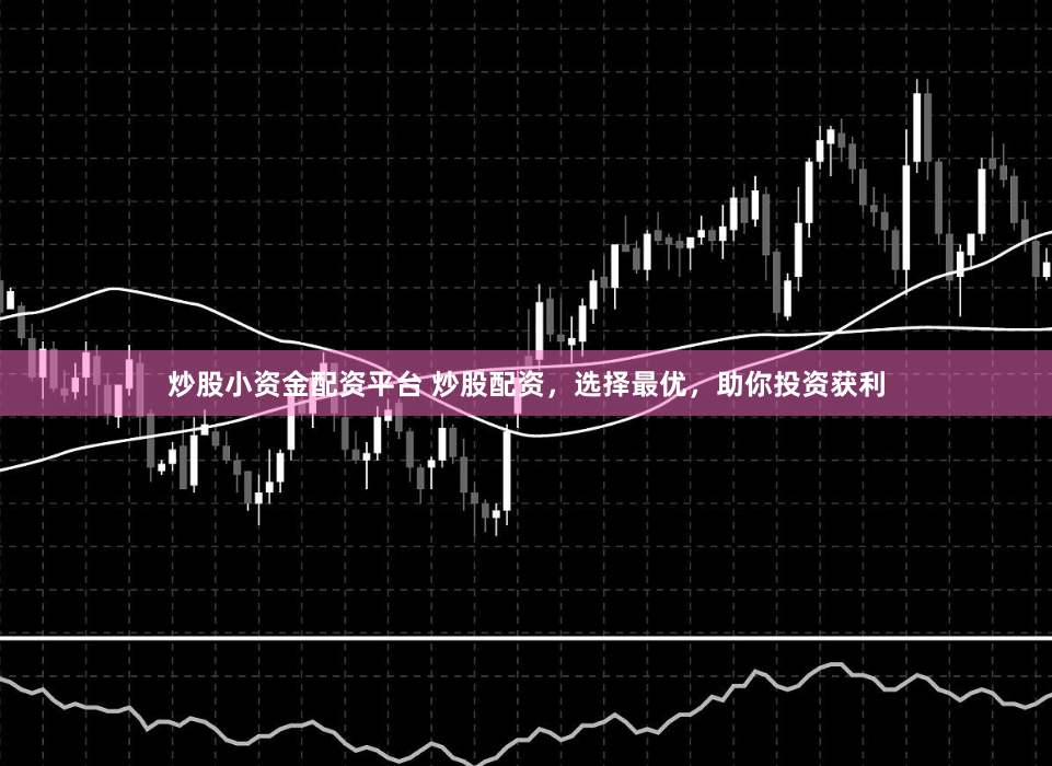 炒股小资金配资平台 炒股配资，选择最优，助你投资获利