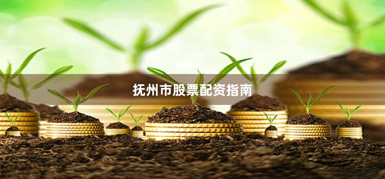 抚州市股票配资指南