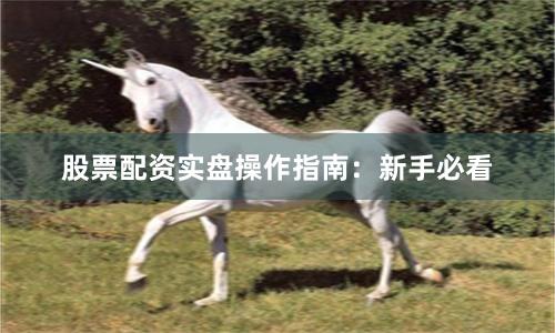 股票配资实盘操作指南：新手必看